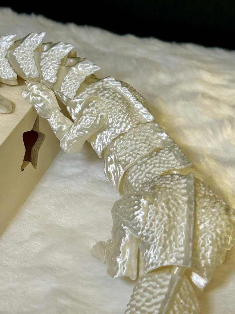 3d printed dragon back